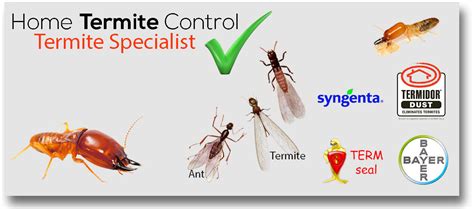 pest control thunderbolt|Pest Control .